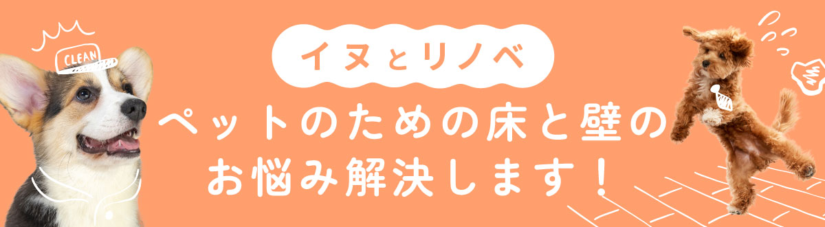 ペット対応　床と壁　イヌとリノベ