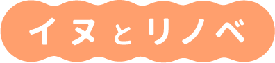 イヌとリノベ
