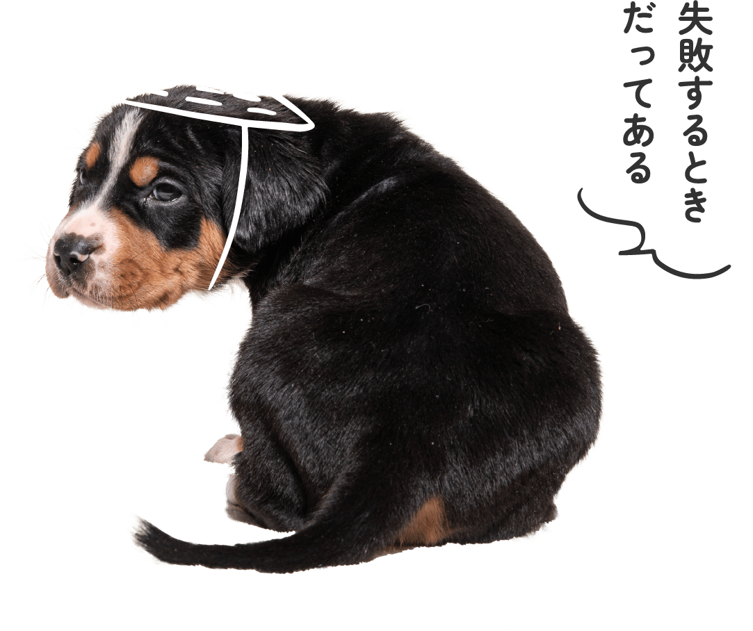 おしっこの臭いやシミ