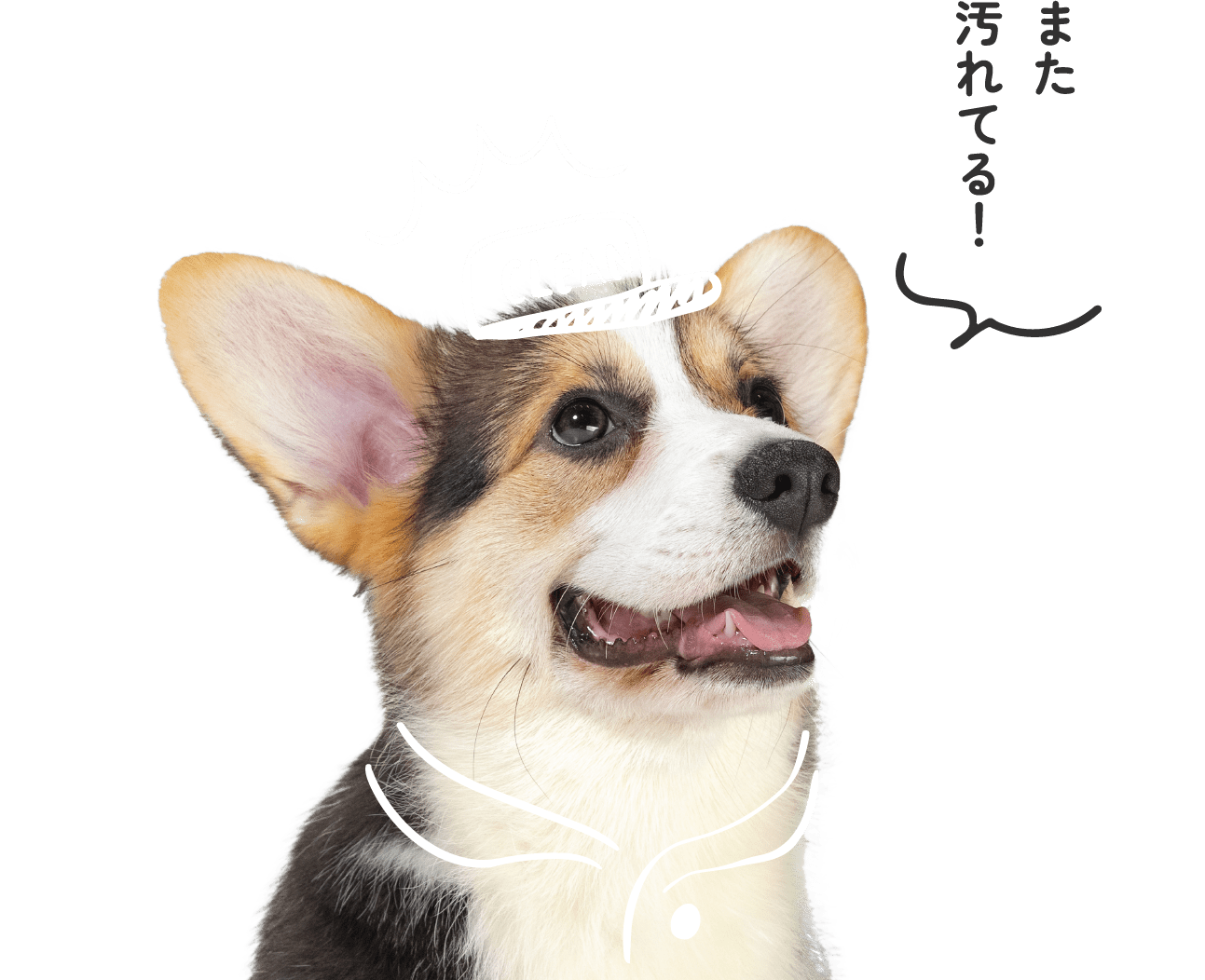 ワックスが取れる！