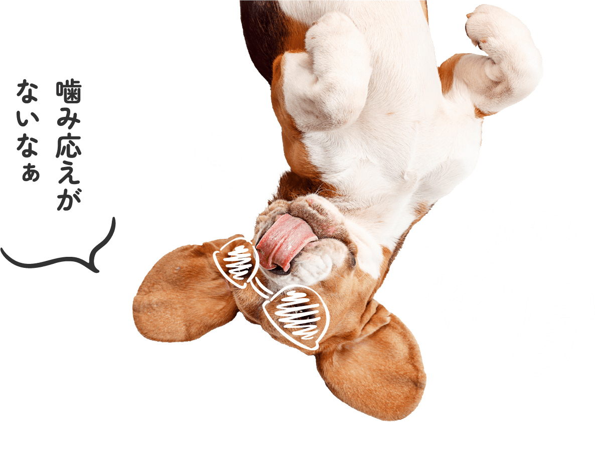 壁をかじってボロボロ