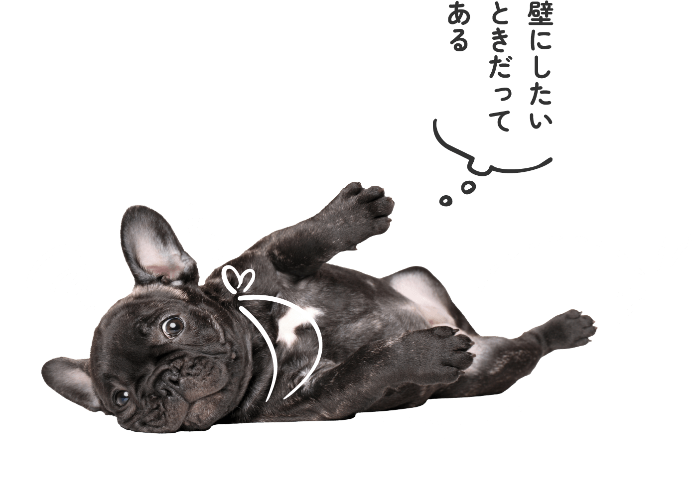 おしっこの臭いやシミ